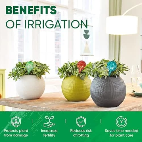 Mission Gallery Glass Plant Watering Globes Set of 6 Small Multicolored | 100ml (3.38 Fl Oz) Capacity thumbnail 4