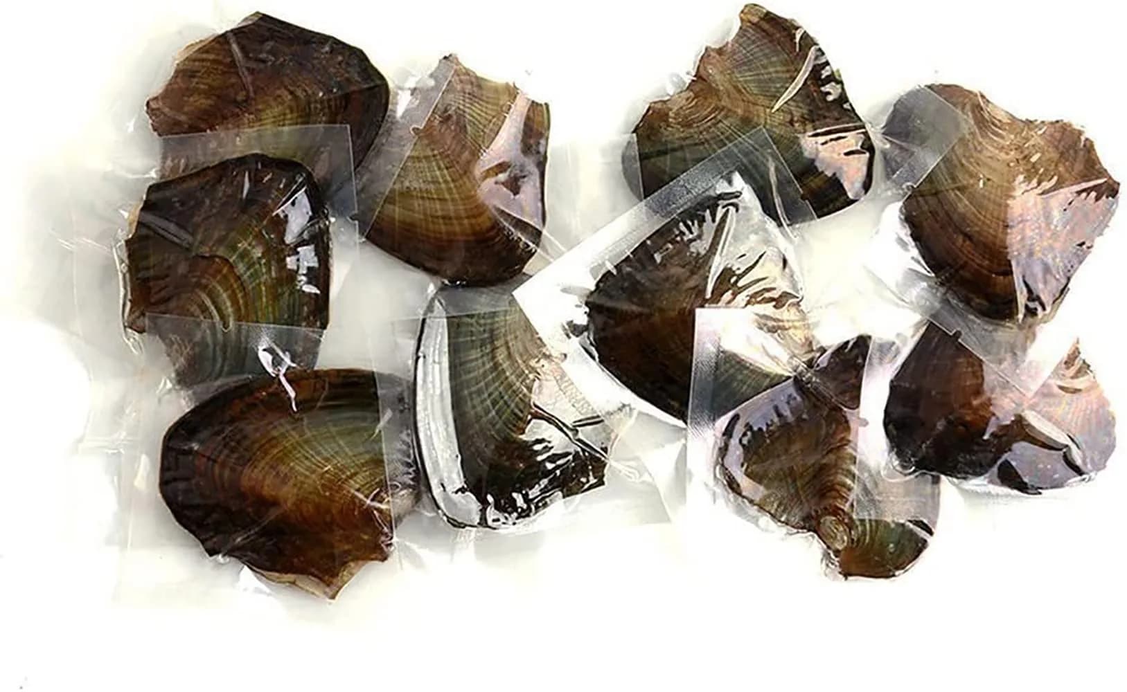 NIGHT-GRING 10 PC Freshwater Cultured Pearl Oyster Oval Pearls 7.5-8mm | Assorted Colors — Assorted
