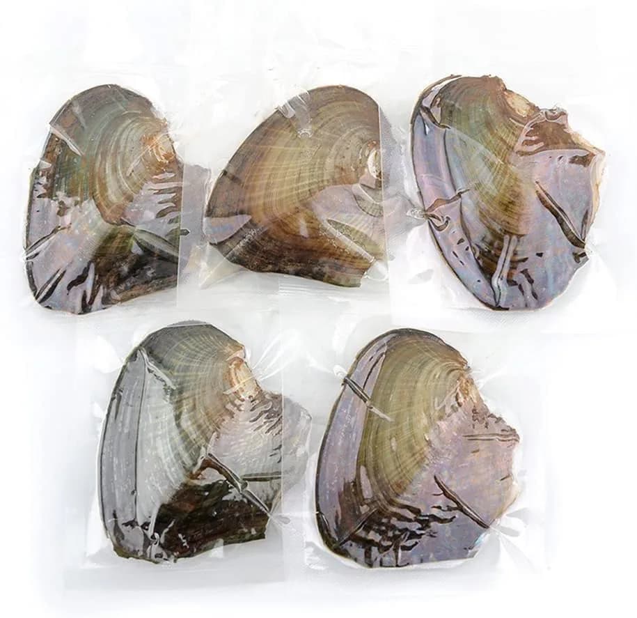 NIGHT-GRING 10 PC Freshwater Cultured Pearl Oyster Oval Pearls 7.5-8mm | Assorted Colors thumbnail 7