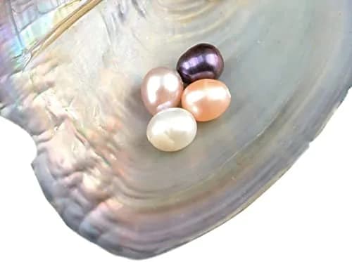 NIGHT-GRING 10 PC Freshwater Cultured Pearl Oyster Oval Pearls 7.5-8mm | Assorted Colors thumbnail 3
