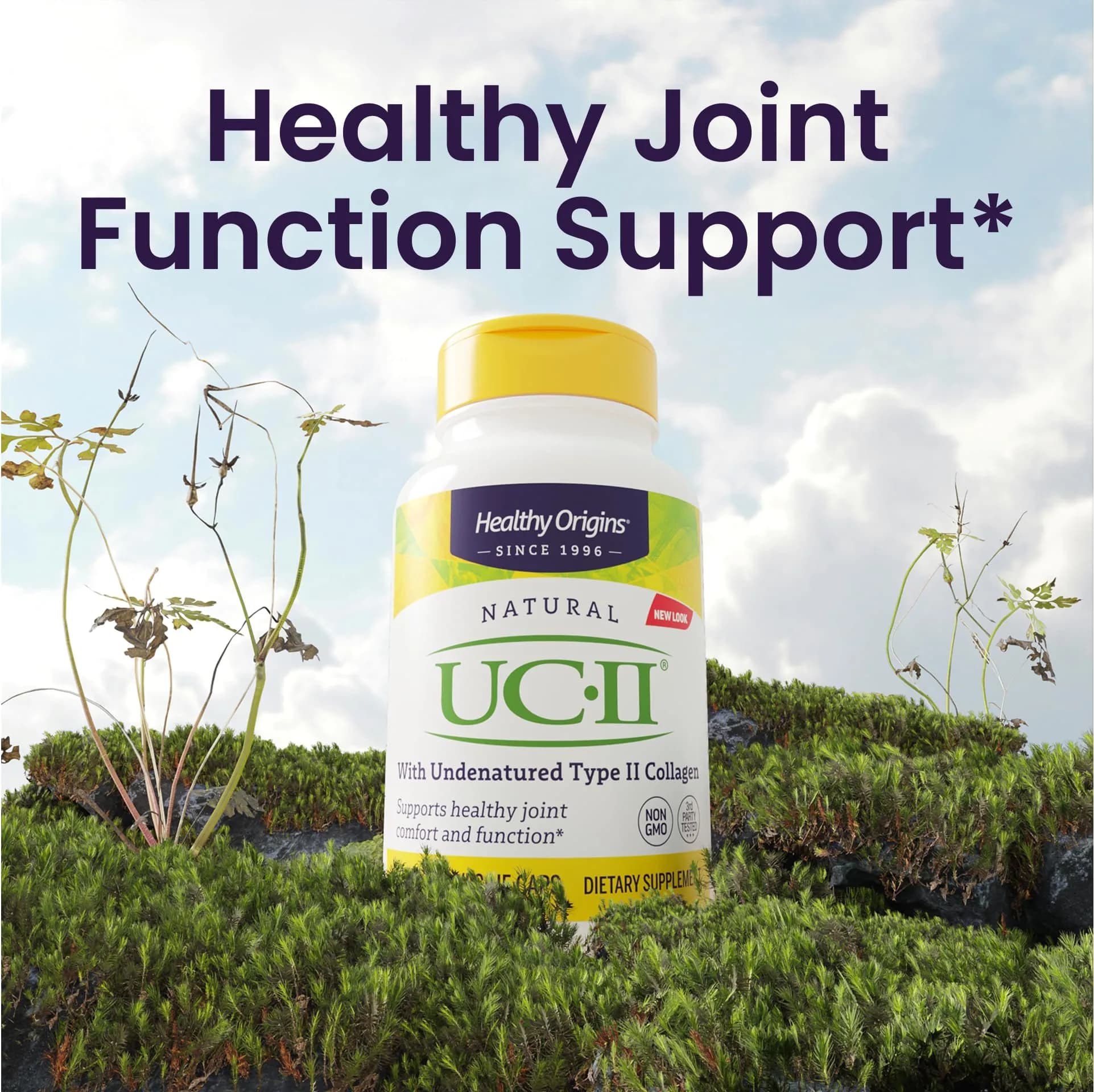Healthy Origins UC-II Collagen 40 mg Veggie Caps (120 Count, 40 mg per serving) | Supports Joint Comfort, Mobility & Flexibility - view 4