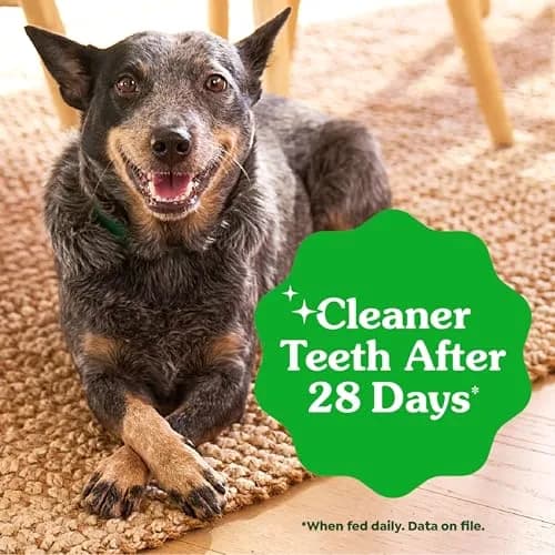 Greenies Teenie Original Natural Dental Dog Treats, Chicken, 260 Count (Pack of 4) | Vet-Recommended Dental Care for Small Dogs thumbnail 4