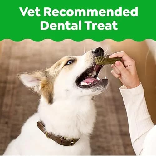 Greenies Teenie Original Natural Dental Dog Treats, Chicken, 260 Count (Pack of 4) | Vet-Recommended Dental Care for Small Dogs thumbnail 2