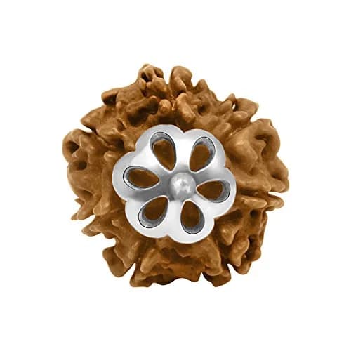 Arihant Gems & Jewels 7 Mukhi Rudraksha Pendant with 925 Sterling Silver Trishul | 2 cm (0.78 in) Pendant thumbnail 2