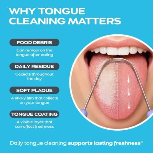 drTung's Stainless Steel Tongue Scraper 2 Pack | Gentle & Effective Oral Hygiene thumbnail 3