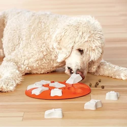 Outward Hound Nina Ottosson Dog Smart Treat Puzzle 28.6cm (11") | Beginner Level Interactive Dog Toy thumbnail 8