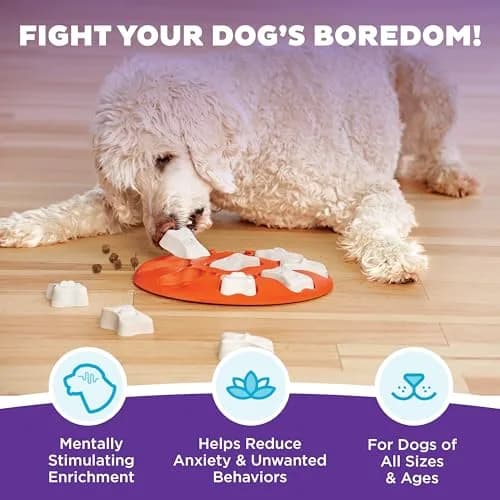 Outward Hound Nina Ottosson Dog Smart Treat Puzzle 28.6cm (11") | Beginner Level Interactive Dog Toy thumbnail 2