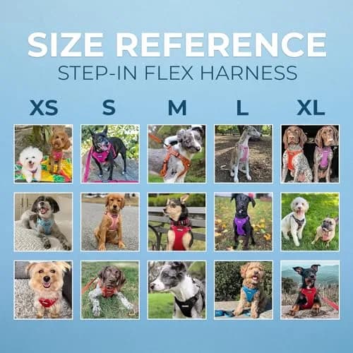 Voyager Step-in Flex Adjustable Dog Harness - Black, Large | Breathable Air Mesh & 3M Reflective Stripes thumbnail 6