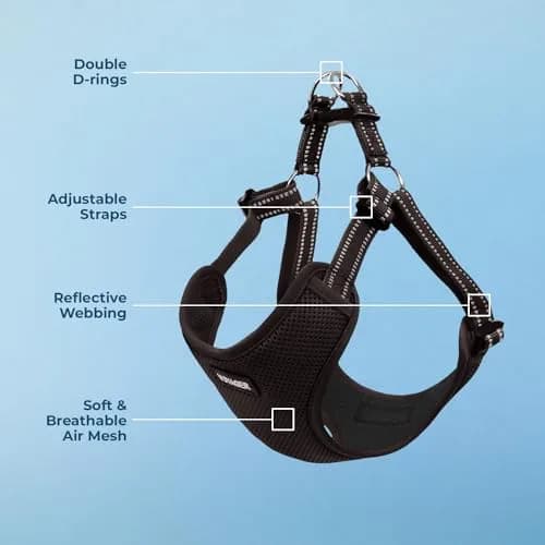 Voyager Step-in Flex Adjustable Dog Harness - Black, Large | Breathable Air Mesh & 3M Reflective Stripes thumbnail 3