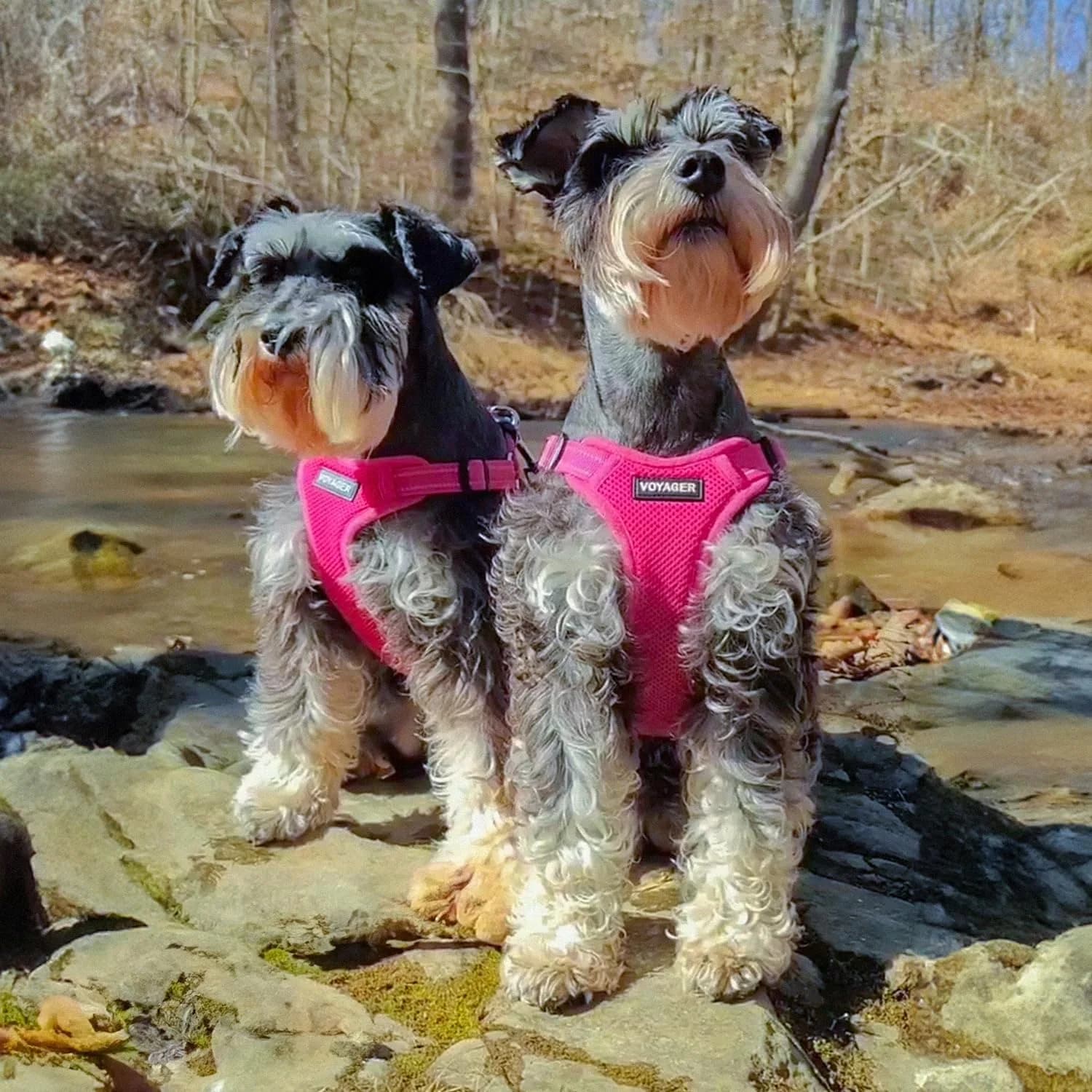 Voyager Step-in Flex Adjustable Dog Harness Fuchsia Medium | No-Pull, Breathable Air Mesh, Reflective Safety - view 7