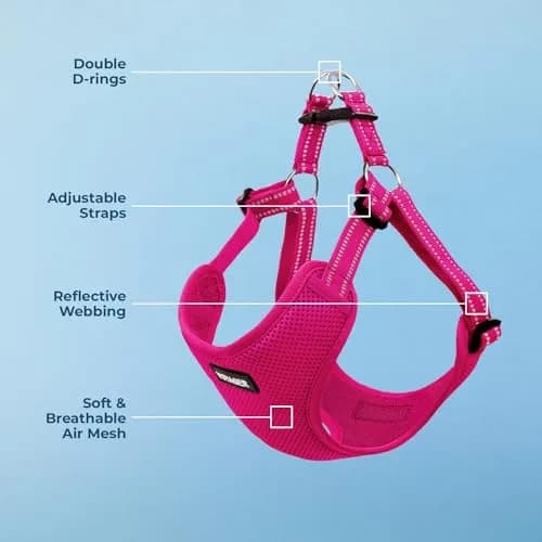Voyager Step-in Flex Adjustable Dog Harness Fuchsia Medium | No-Pull, Breathable Air Mesh, Reflective Safety thumbnail 3