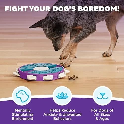 Outward Hound Nina Ottosson Dog Twister Treat Puzzle 11.8" (30cm) | Advanced Level 3 Dog Toy for Mental Stimulation thumbnail 2