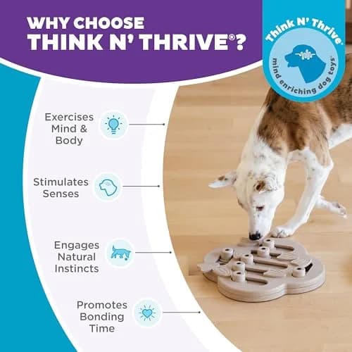 Outward Hound Dog Hide N' Slide Treat Puzzle Toy Level 2 Intermediate Tan | Interactive Dog Enrichment thumbnail 6