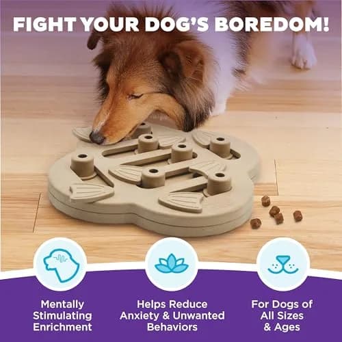 Outward Hound Dog Hide N' Slide Treat Puzzle Toy Level 2 Intermediate Tan | Interactive Dog Enrichment thumbnail 2