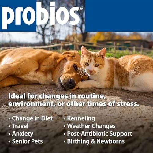 Probios Dog Probiotic Tablets, Chicken Liver, 45 Count | Supports Digestive & Immune Health thumbnail 6
