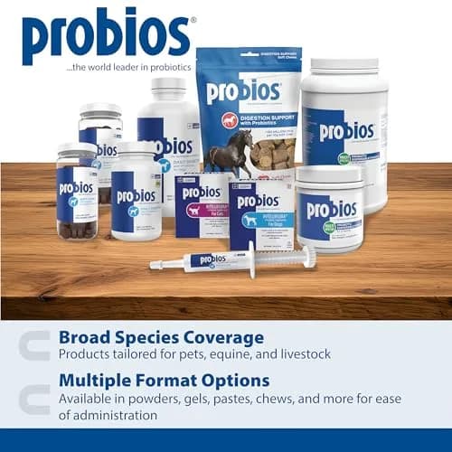 Probios Dog Probiotic Tablets, Chicken Liver, 45 Count | Supports Digestive & Immune Health thumbnail 7