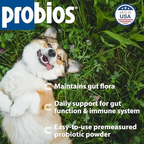 Probios Dog Probiotic Tablets, Chicken Liver, 45 Count | Supports Digestive & Immune Health thumbnail 2