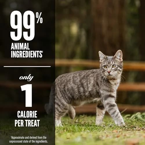 ORIJEN TUNDRA Freeze Dried Cat Treats 1.25oz (35g) | 99% Animal Ingredients, High Protein, 1 Calorie Each thumbnail 4