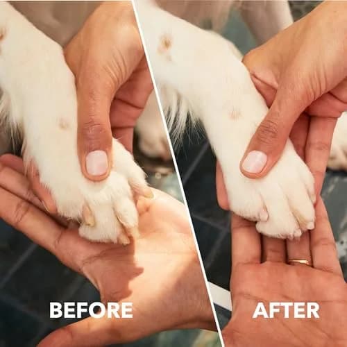 Dremel Pet Grooming Nail Guard Attachment, AT02-PGK | 45° Paw Guide for Gentle Nail Trimming thumbnail 5