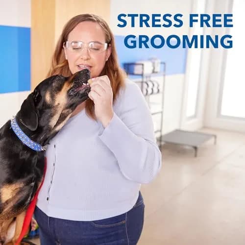 Dremel Pet Grooming Nail Guard Attachment, AT02-PGK | 45° Paw Guide for Gentle Nail Trimming thumbnail 6