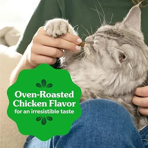Greenies Feline Dental Cat Treats Roasted Chicken Flavor 21 oz (600g) | Veterinarian Recommended Oral Care thumbnail 8