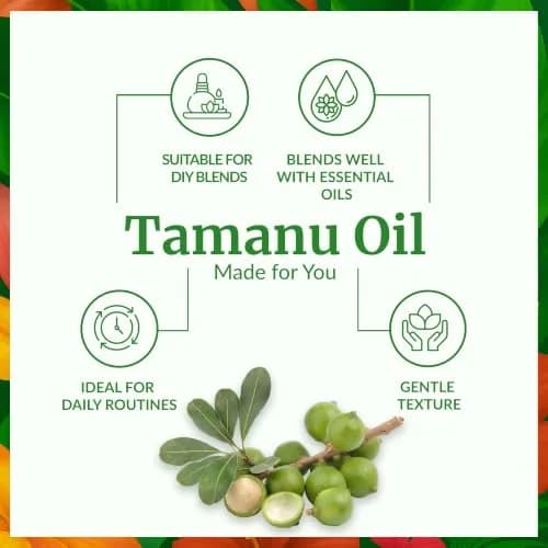 SVA ORGANICS Tamanu Oil 4 Fl Oz (118 mL) - Pure Carrier Oil for Face, Skin, Hair & Scalp thumbnail 3