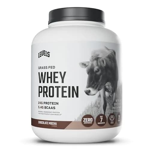 Levels Nutrition Strawberry Grass Fed Whey Protein Powder | 24g Protein, 5.4g BCAAs, No Artificials — Chocolate Mocha / 5 Pound