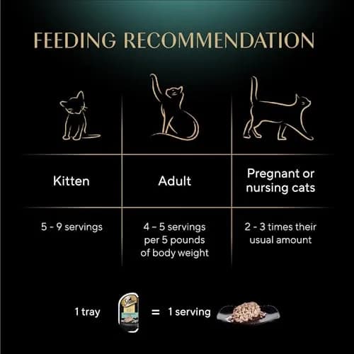 Sheba Perfect Portions Wet Cat Food, Tuna, 2.6 oz | Grain-Free, Protein-Rich, Easy Peel Twin Pack thumbnail 6