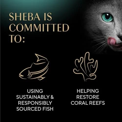 Sheba Perfect Portions Wet Cat Food, Tuna, 2.6 oz | Grain-Free, Protein-Rich, Easy Peel Twin Pack thumbnail 9