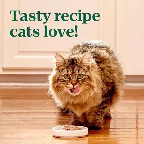 Nutro Perfect Portions Cuts Wet Cat Food, Salmon, 2.6 oz | Grain-Free, Hydrating & Complete Nutrition thumbnail 7