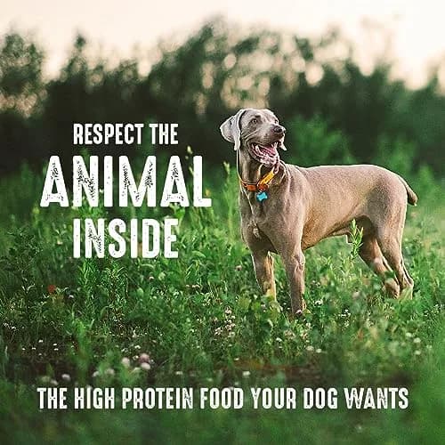 CRAVE Grain Free High Protein Adult Dry Dog Food, White Fish & Salmon, 12 lb. Bag | Protein-Rich, Grain-Free Nutrition for Dogs thumbnail 6
