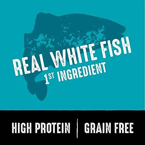 CRAVE Grain Free High Protein Adult Dry Dog Food, White Fish & Salmon, 12 lb. Bag | Protein-Rich, Grain-Free Nutrition for Dogs thumbnail 2