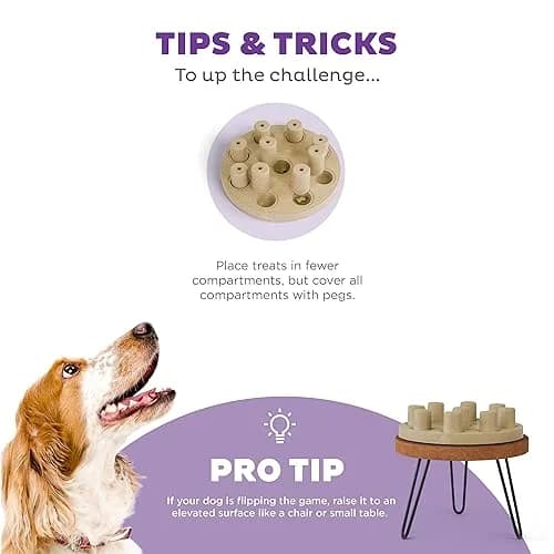Outward Hound Dog Smart Treat Puzzle Level 1 Beginner Tan Composite | Mental Stimulation & Boredom Buster thumbnail 4