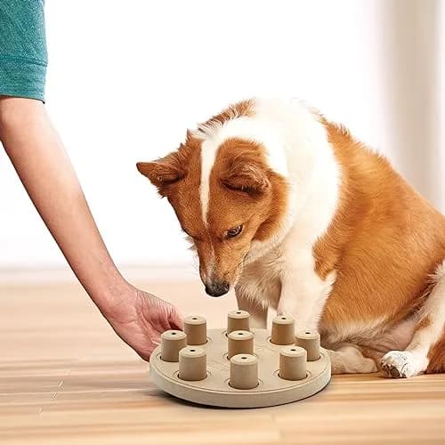 Outward Hound Dog Smart Treat Puzzle Level 1 Beginner Tan Composite | Mental Stimulation & Boredom Buster thumbnail 5