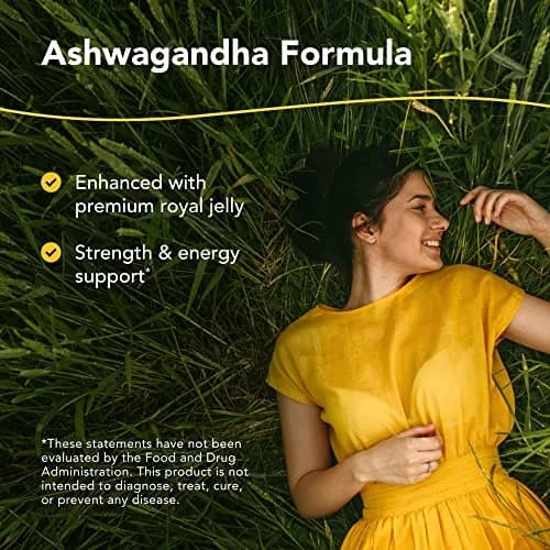 NORTH AMERICAN HERB & SPICE Ashwagandha Capsules 60 | Boost Energy & Hormonal Balance thumbnail 2