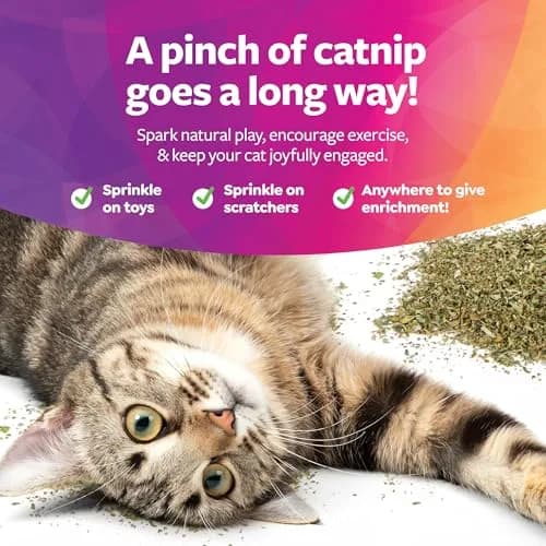 SmartyKat USDA Certified Organic Catnip 0.5 oz (14 g) | Potent Attractant for Play & Training thumbnail 5