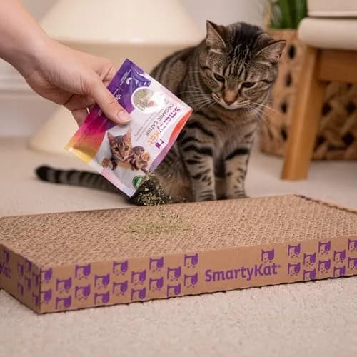 SmartyKat USDA Certified Organic Catnip 0.5 oz (14 g) | Potent Attractant for Play & Training thumbnail 7