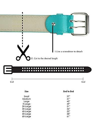 Eurosport Women's Thick Wide Leather Belt - BN9041 - Turquoise - Small | Adjustable 38mm Width, Faux Leather, Double Prong thumbnail 4