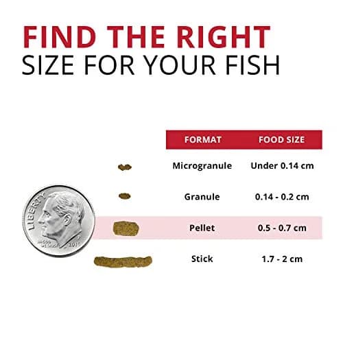 Fluval Bug Bites Cichlid Fish Food 3.53 oz | Insect-Based, Nutrient-Rich Fish Diet thumbnail 3