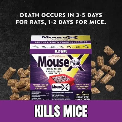 MouseX Ready-to-Use Pre-Measured 3 oz Bait Trays | Humane Mouse Killer Pellets, 2-Pack, Non-Toxic, Safe for Indoors & Outdoors thumbnail 4