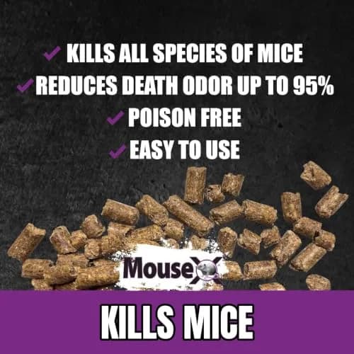 MouseX Ready-to-Use Pre-Measured 3 oz Bait Trays | Humane Mouse Killer Pellets, 2-Pack, Non-Toxic, Safe for Indoors & Outdoors thumbnail 5