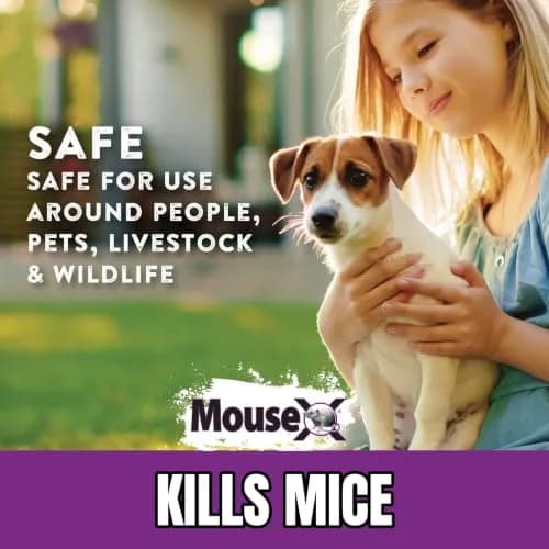 MouseX Ready-to-Use Pre-Measured 3 oz Bait Trays | Humane Mouse Killer Pellets, 2-Pack, Non-Toxic, Safe for Indoors & Outdoors thumbnail 6