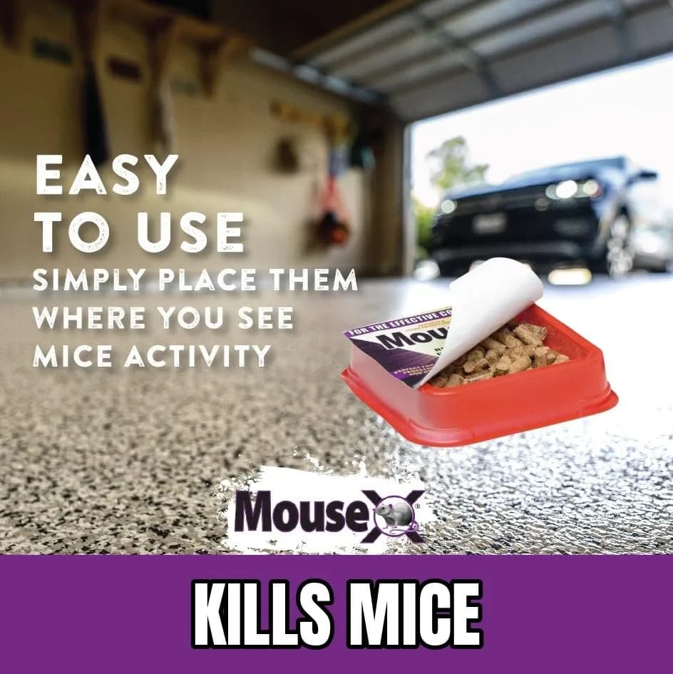 MouseX Ready-to-Use Pre-Measured 3 oz Bait Trays | Humane Mouse Killer Pellets, 2-Pack, Non-Toxic, Safe for Indoors & Outdoors thumbnail 8