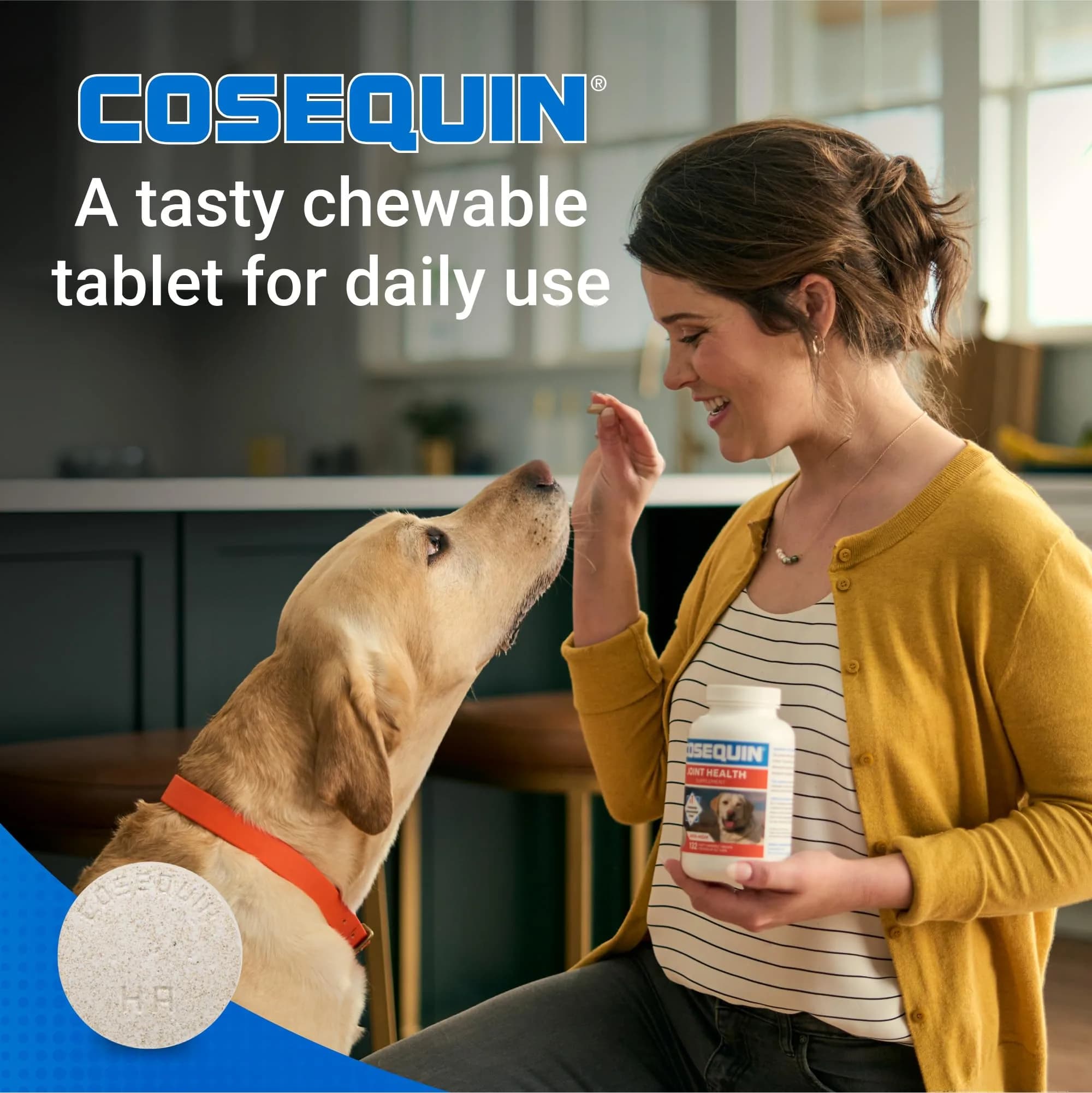 Nutramax Cosequin Joint Supplement for Dogs, MSM+HA, Chew Tablets, 150 Count (6.75 oz / 191 g) | Vet Recommended for Joint Health - view 4