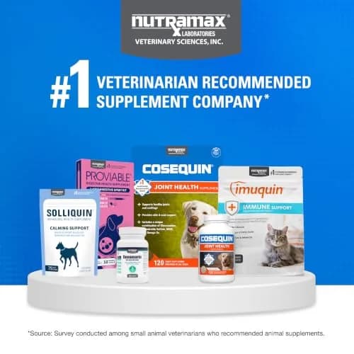 Nutramax Cosequin Joint Supplement for Dogs, MSM+HA, Chew Tablets, 150 Count (6.75 oz / 191 g) | Vet Recommended for Joint Health thumbnail 7