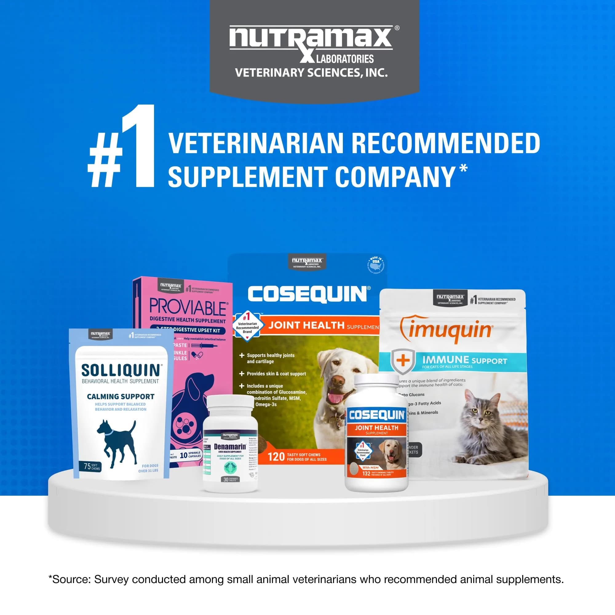 Nutramax Cosequin Joint Supplement for Dogs, MSM+HA, Chew Tablets, 150 Count (6.75 oz / 191 g) | Vet Recommended for Joint Health - view 7