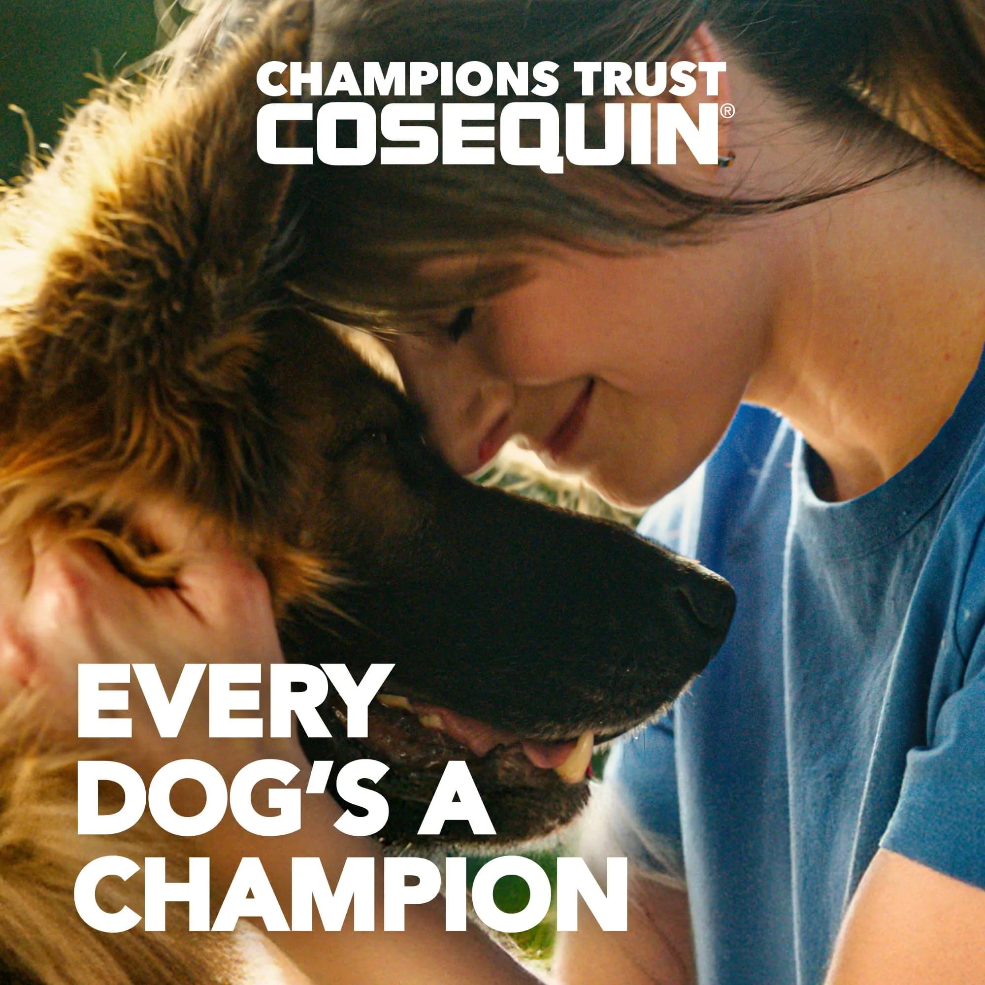 Nutramax Cosequin Joint Supplement for Dogs, MSM+HA, Chew Tablets, 150 Count (6.75 oz / 191 g) | Vet Recommended for Joint Health - view 2