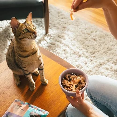 Cat Sushi Bonito Flakes Thick Cut 0.7 oz | Pure Japanese Tuna Treat for Cats thumbnail 4