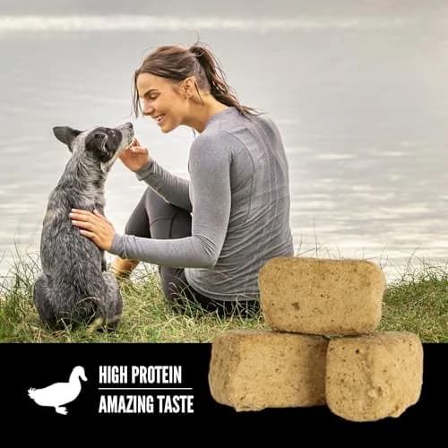 ORIJEN WHOLEPREY Freeze Dried Dog Treats Free-Run Duck 3.25oz | High Protein, Nutrients Locked In thumbnail 3