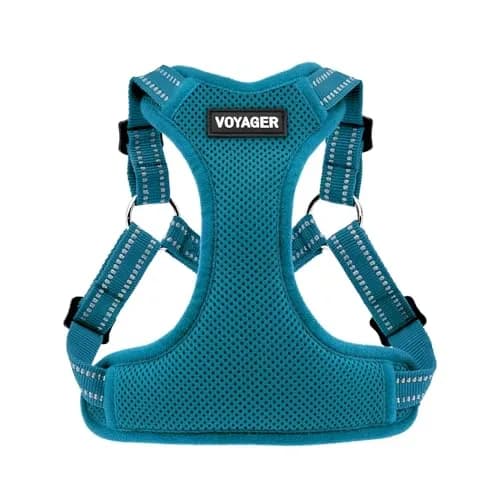 Best Pet Supplies Voyager Step-in Flex Dog Harness - Turquoise, Medium | Adjustable, Breathable & Reflective thumbnail 1